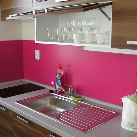 Apartment Trebon Daire *