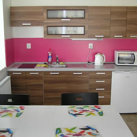 Apartment Trebon Daire Třeboň