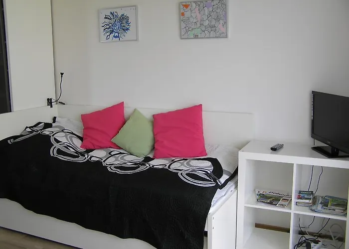 Apartment Trebon דירה *